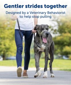 PetSafe® Gentle Leader® Headcollar, No-Pull Dog Collar, Large 60-130 Lb., Black 16 818ylYHMgRL