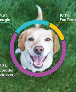 Alternative view of Embark Breed & Health Kit (2 Pack) - Dog DNA Test - Discover Breed, Ancestry, Relative Finder, Genetic Health, Traits, COI 2 Count (Pack of 1)