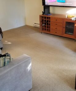 Simple Green Pro HD Heavy Duty Cleaner Concentrate 1 Gallon Bottle 20 81962dQ4M6L