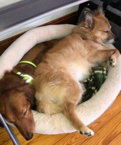 Pet MD - Canine Tabs Plus 365 Count - Advanced Multivitamins for Dogs - Natural Daily Vitamin and Mineral Nutritional Supplement - Liver Flavored Chewable Tablets 19 81972rfEGuL