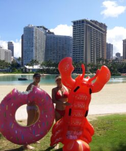 Intex Lobster Ride-On 22 8197ZcM9L