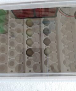 Little Giant® Quail Rails | 120 Eggs | Turner Equipment for Incubating Small Eggs | Quail Egg Incubator 18 8197e1ouzL