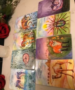 The Animal Wisdom Tarot: An inspirational guide to using tarot cards and their meanings 25 819COINRrL