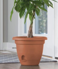 Bloem FBA LP1246 Lucca Planter, 12-Inch, Terra Cotta 12" 7 819DH7QwBqL