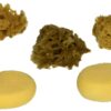 ROYAL BRUSH Watercolor Sponges 6/Pkg 1 45 819EXocyMdL
