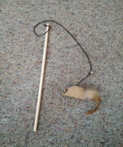 The Natural Pet Company Cat Toys Collection in Gift Box 27 819FYcUin9L