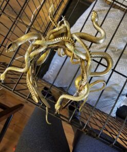 Fun Central 12 Pack - Realistic Rubber Snakes Toys for Garden in Bulk - 22 inches 37 819HZQjhcAL