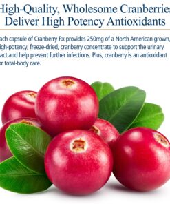 Rx Vitamins Cranberry Pills for Dogs - Cat Urinary Tract Medicine Support - UTI Treatment for Pets - Dog & Cat Urinary Relief Aid - 90 Cap. 8 819JiD8b4wL