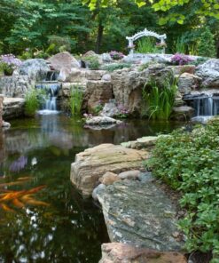 Aquascape 98949 Beneficial Bacteria Concentrate for Pond and Water Features, 1.1-Pound, white 25 819Jw8IUQeL