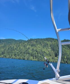 Amarine Made (2x) Stainless Tournament Style Clamp on Fishing Rod Holder for Rails 1-1/4" to 2" 35 819LDgQpVTL