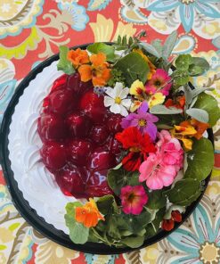 Seed Needs, 350+ Nasturtium Seeds for Planting - Jewel Mixture (Tropaeolum nanum) Non-GMO, Easy to Grow Mix, Attracts Pollinators - Bulk Bulk Pack (350 Seeds) 39 819LIwK07L