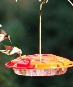 Aspects 367 Hummzinger Ultra Hummingbird Feeder, 12-Ounce,4 Feeding,Red 34 819NqbhFtVL