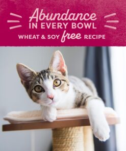 Natural Balance Original Ultra Chicken Meal & Salmon Meal Cat Food Whole Body Health Dry Food for Kittens to Adult Cats 15-lb. Bag Chicken Meal & Salmon Meal Formula 15 Pound (Pack of 1) 24 819Nre3oeL 4