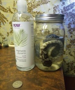 NOW Solutions, Vegetable Glycerin, 100% Pure, Versatile Skin Care, Softening and Moisturizing, 16-Ounce 16 Fl Oz (Pack of 1) Standard Packaging 30 819RF0OHIkL