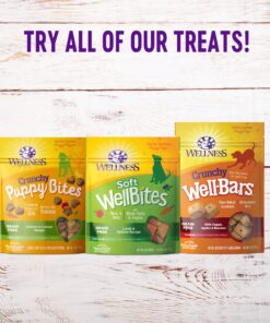 Wellness Soft Puppy Bites Natural Grain-Free Treats for Training, Dog Treats with Real Meat and DHA, No Artificial Flavors (Lamb & Salmon, 3-Ounce Bag) Soft Treats Lamb & Salmon 3 oz 26 819X9wUJMvL