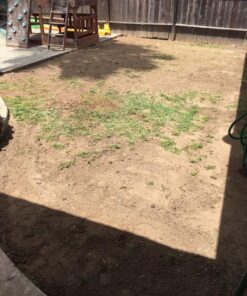 Hydro Mousse Liquid Lawn System - Grow Grass Where You Spray It - Made in USA High Performance Grass Blend 31 819Y2zjk6 L