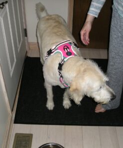 CPR V10000 – Whitelist Call Blocker. Landline Phone Call Blocker. Dual Mode Protection. Pre-Loaded with 10,000 Known Robocall Scam Numbers - Join Our Mission to Create a spam Free Community Black 17 819avu6Y8L