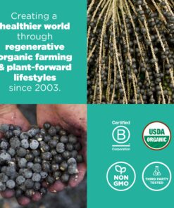 Navitas Organics Acai Powder, 8 oz Bag, 76 Servings — Organic, Non-GMO, Freeze-Dried, Gluten-Free 8 Ounce (Pack of 1) 14 819cI8bUX2L