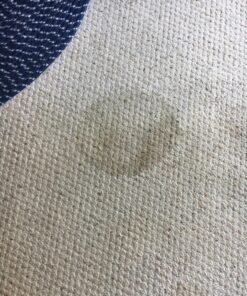 BISSELL Oxy Stain Destroyer Pet, 1784 (Packaging May Vary) 22 819chj36ZXL