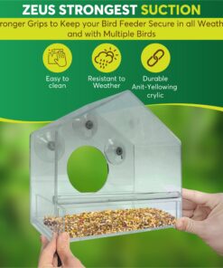 Nature Gear Window Bird Feeder - Refillable Sliding Tray - Weather Proof - Snow and Squirrel Resistant - Drains Rain Water - See Songbirds from Home! (House Style) (House Model) House 30 819faBrZ L