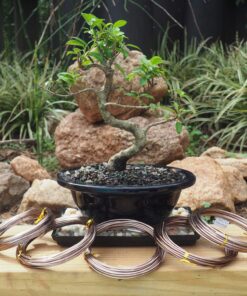 Anodized Aluminum Bonsai Training Wire 5-Size Starter Set with Canvas Bag - 1.0mm, 1.5mm, 2.0mm, 2.5mm, 3.0mm (147 feet total) - Choose Your Color (5 Sizes, Brown) 5 Sizes 18 819h1b N4sL