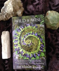 Wild & Wise: Sacred Feminine Meditations for Women's Circles & Personal Awakening Paperback 8 819hbaAXLfL