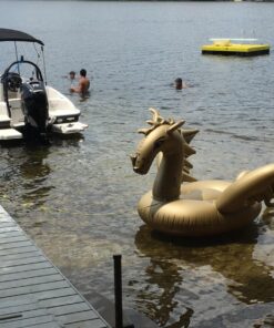 Luxy Float Inflatable Pool Float, Large Water Pool Toys for Adults and Family, Swimming Pool Floats for Party Fun Dragon 30 819tRBy3XL