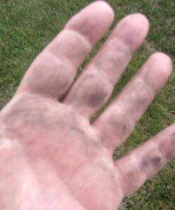 Briggs and Stratton 8BS50 50-Foot Premium Heavy-Duty Rubber Garden Hose 50 ft 11 819thfyTe1L