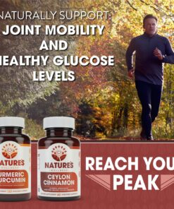 Natures Wellness Organic Ceylon Cinnamon - 1200 mg | Powerful Antioxidant | Maintains Joint Health and Mobility | Non-GMO | 60 Veg Capsules 20 819vbebdTBL