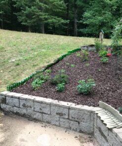 Green Wine Bottles, 750 ml Capacity (Pack of 12) 33 819xa6cLyvL