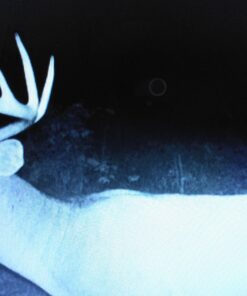 Wildlife Research Center Scrape Dripper Only 21 819yinP47L