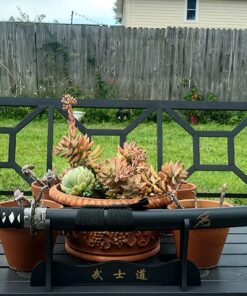 Last Samurai Japanese Sword-Katana Honor Comes with Free Stand Sword Of Honor 42 81A01TzEQrL