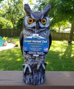 Dalen Fake Owl Decoy to Scare Birds Away from Gardens, Rooftops, and Patios - Scarecrow Provides Chemical-Free Pest Control - Safe and Humane, 16" Great Horned Owl 35 81A1pMdDTL