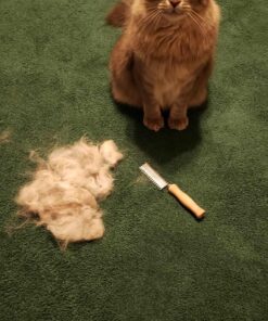 Coastal Pet Safari Cat Shedding Comb - Prevents Hairballs - Daily-Use Cat Deshedding Brush - For Cats with Short and Long Hair - One Size 27 81A5tdcKcHL