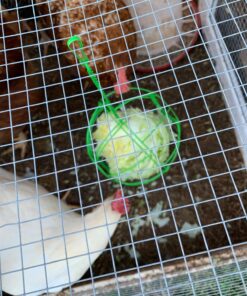 Ware Manufacturing Chick-N-Veggie Treat Ball 21 81A705Qu4HL