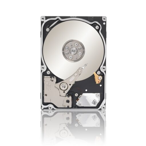 Seagate 2TB Enterprise Capacity HDD SATA 6Gb/s 128MB Cache 3.5-Inch Internal Bare Drive (ST2000NM0033)