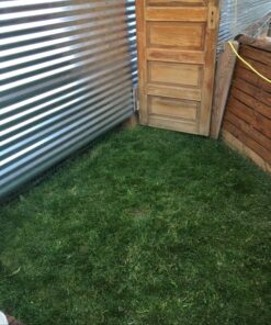 Hydro Mousse Liquid Lawn System - Grow Grass Where You Spray It - Made in USA High Performance Grass Blend 26 81A9Nl325LL