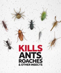 Raid Ant & Roach Killer Spray For Listed Bugs, Keeps Killing for Weeks, Lavender Scent 12 Ounce (Pack of 1) 12 Ounce (Pack of 1) 13 81ABTnDyLtL