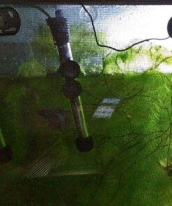 ZACRO 2 Pack Digital Aquarium Thermometer, Fish Tank Thermometer, Water Thermometer with Large LCD Display,Reptile Thermometer for Fish Tank Water Terrarium 35 81AERnvIJXL