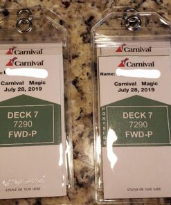 Highwind Cruise Luggage Tags for Suitcases | Cruise Accessories Must-Haves | Compatible w/All Cruise Lines | E-tag Holders Zip Seal&Steel Loops | ID Badge | Waterproof Clear Cruise Tags (4pk, Clear) 4 Pack - Clear 33 81AEk66fzGL