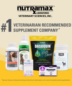 Nutramax Dasuquin with MSM Joint Health Supplement for Small to Medium Dogs - With Glucosamine, MSM, Chondroitin, ASU, Boswellia Serrata Extract, and Green Tea Extract, 150 Chewable Tablets 150 Count (Pack of 1) 27 81AFGx7ynnL