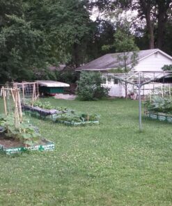 Westek MLC4BC Indoor Plug-In Motion Activated Light Control, No Size, White 1 42 81AGS0aLLrL