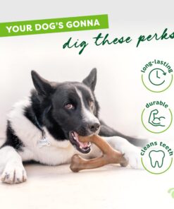 Benebone Wishbone Durable Dog Chew Toy for Aggressive Chewers, Real Bacon, Made in USA, Medium 21 81ANF02PjPL