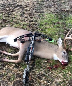 Swhacker SWH00207 #207 2 Inch Cut Broadheads Set of 3-100 Grain, Green, 2" 43 81ANQZuxFuL