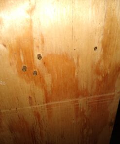 Crosman Gold Flight LF1785 Lead-Free .177-Caliber Penetrator Pointed Pellets, Gold (125-Count) , 1.00 x 1.00 x 1.00" 24 81AV YN0QvL