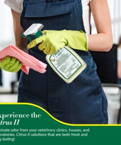 Citrus II Hospital Germicidal Deodorizing Cleaner, Fresh Citrus, 22-Fluid Ounce 19 81AX6fx7SL