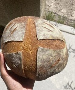 Peter Reinhart's Artisan Breads Every Day Hardcover 20 81AX9hL6xnL