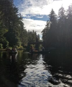 Luxy Float Inflatable Pool Float, Large Water Pool Toys for Adults and Family, Swimming Pool Floats for Party Fun Dragon 37 81AYS BvzDL