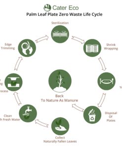 CaterEco Round Palm Leaf Plates set (Pack of 25) | Dinner Plates| Ecofriendly Disposable Dinnerware | Heavy Duty Biodegradable Party Utensils for Wedding, Camping & More 10" (25 Pc) 10 81AZPYM2IXL