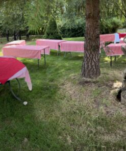 Red Gingham Plastic Tablecloth Roll With Cutter, 100' x 52" - Heavy Duty Party Table Cloth In Self Cutting Box - For Picnics, BBQs, and Birthday Parties - By Clearly Elegant Gingham Red 37 81AZdxXR4iL